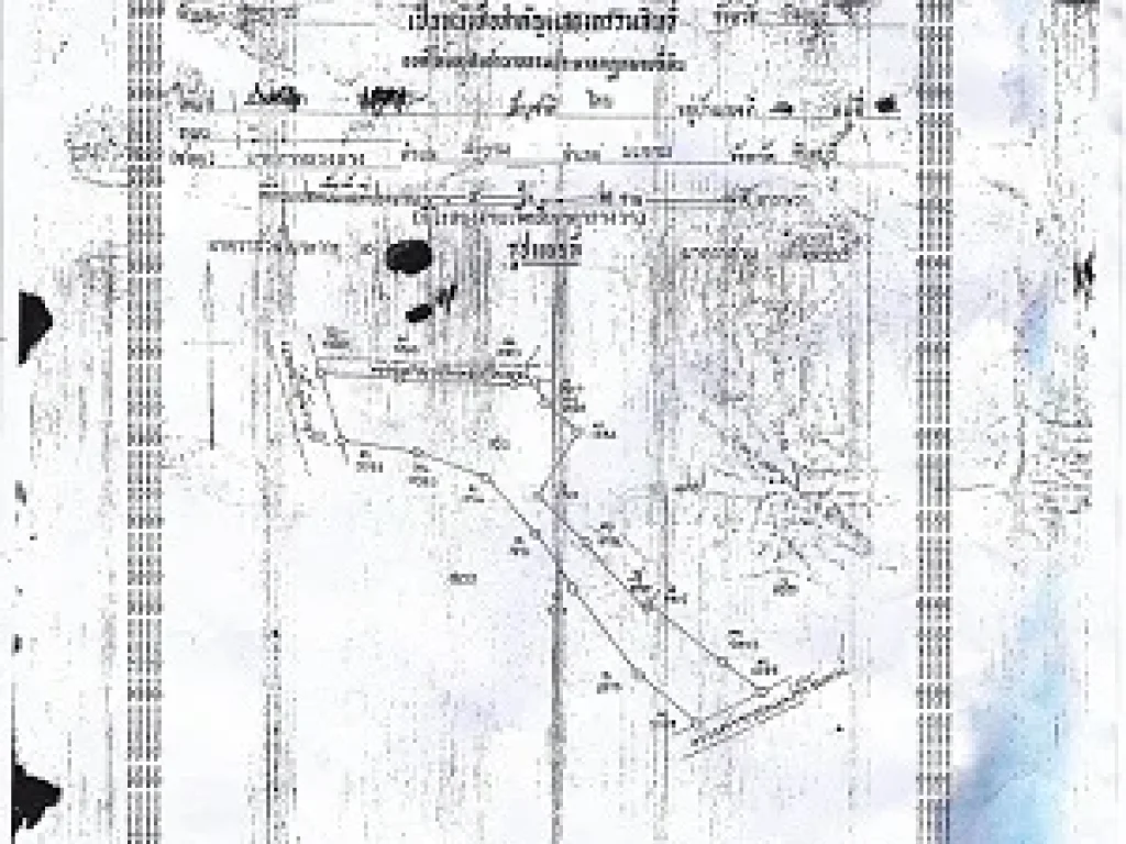 ขายที่ติดแม่น้ำจันทบุรีถูกที่สุดในระแวกนั้น มีสวนผลไม้ มังคุด ไม้กฤษณา ลองกอง 4 ไร่ 2 งาน 75 ตรว บริเวณของสถานที่ บ้านท่าหลวงล่าง อำเภอมะขาม จัน