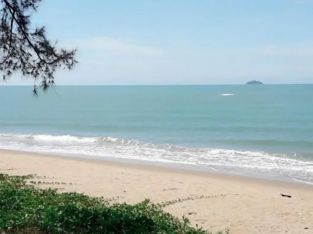 ขายที่ดินติดทะเล ชายหาดส่วนตัวไม่มีถนนคั่น ติดเขตสนามบินอู่ตะเภา 75 ไร่