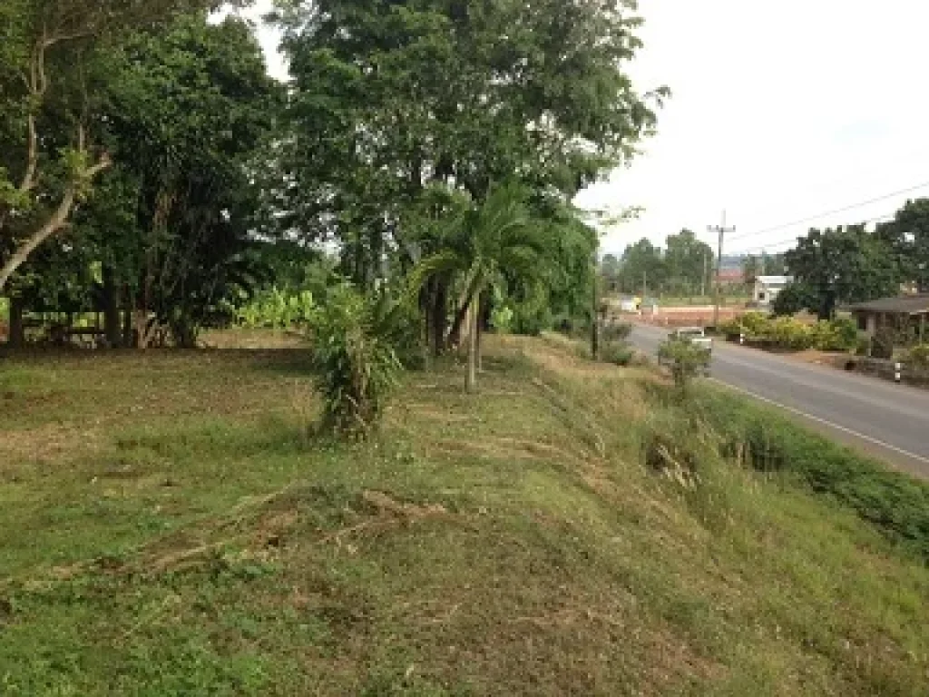 บ้านพร้อมที่ดิน ที่สวนผลไม้จันทบุรีติดถนนช้างข้าม-สนามไชย