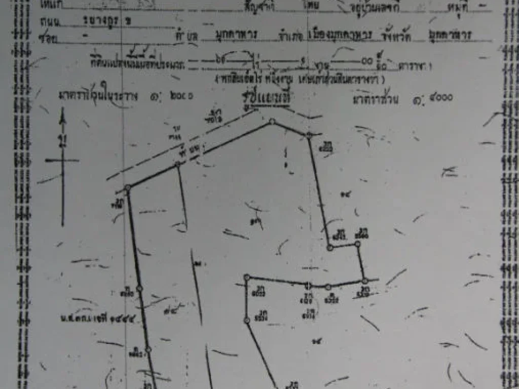 ขายที่ดิน 25 ไร่ ตาดแคน 12