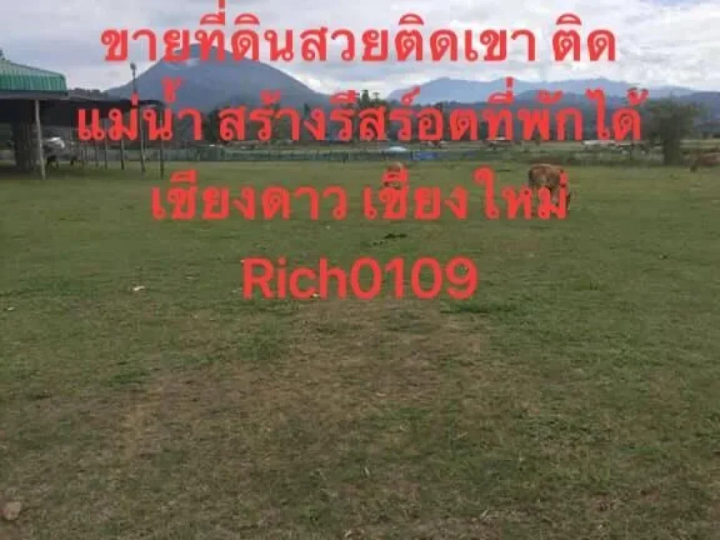 ขายที่ดิน สวย พิกัดเชียงใหม่-ฝาง Rich 0109เคลียร์พื้นที่ไว้แล้ว สร้างที่พัก รีสอร์ต โฮมสเตย์ได้ สวยมาก อเชียงดาว