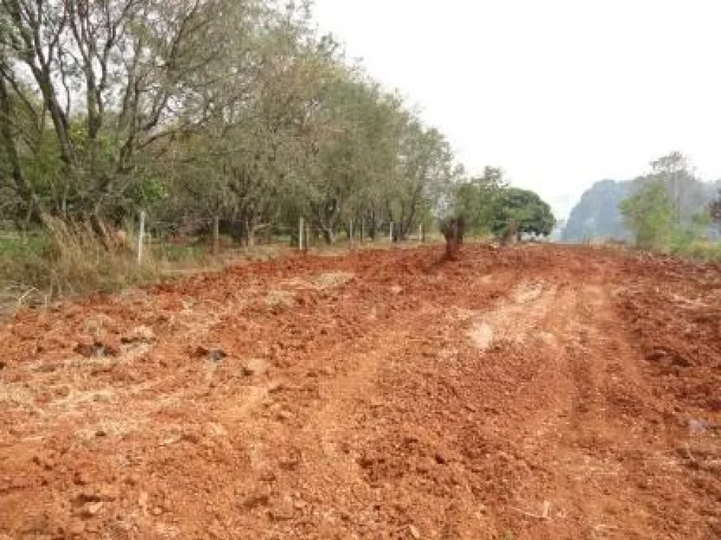 ขายที่ดินเปล่า ใกล้สวนหินผางาม อหนองหิน จเลย