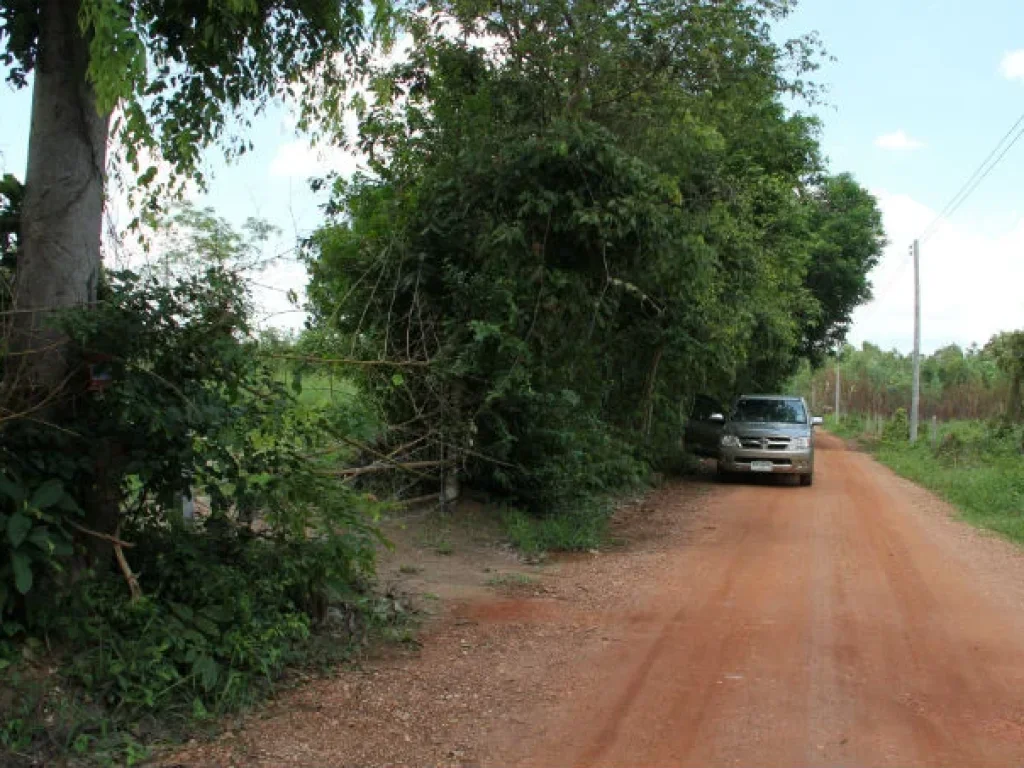 ขายที่ดิน 1-3-50 ไร่ เลี่ยงเมือง ทางเข้าวัดโคกสมบูรณ์ สินทวี