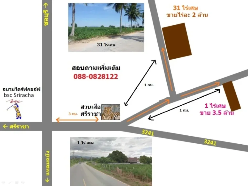 ขายที่ดินสวนเสือศรีราชา อศรีราชา