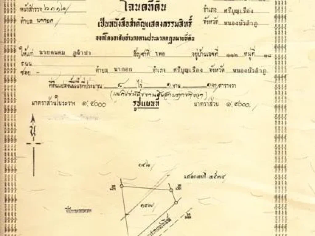 nice land 8 ไร่ 1งาน 13ตารางวา ขายรวม 1100000 ถูกมาก