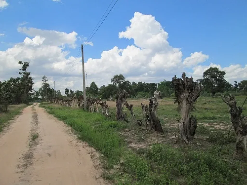 ที่ดินสวยติดสนามกีฬาจังหวัดราคาถูก