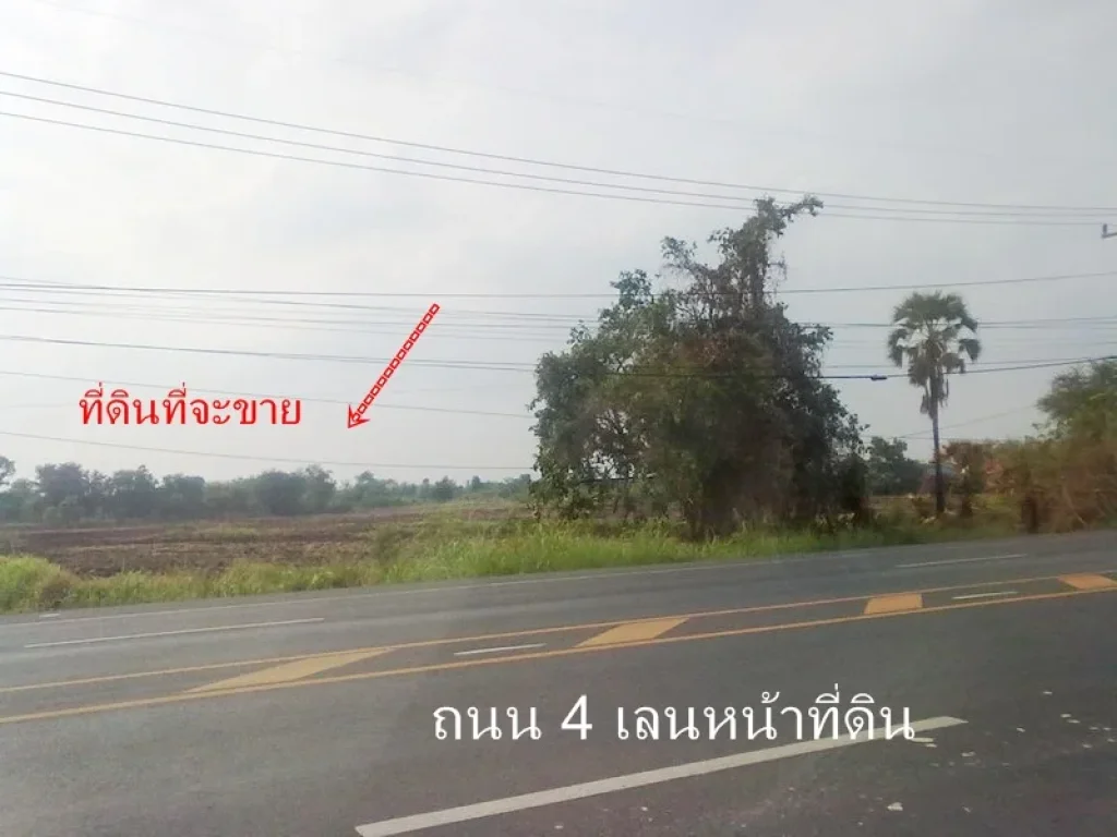 ขายที่ดิน 17 ไร่ ติดถนน 4 เลน ก่อนเข้าอำเภอบ้านหมอ ประมาณ 3 กม