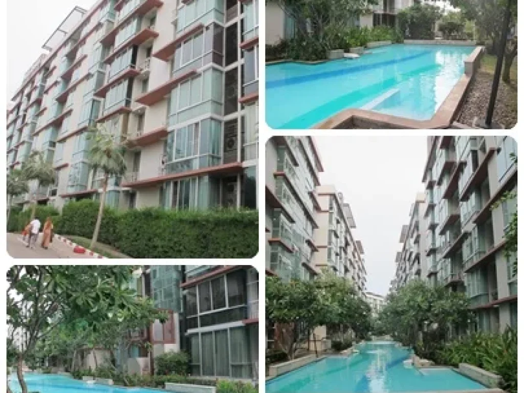 ขายคอนโด The Iris Condo แยกศรีนครินทร์-พัฒนาการ