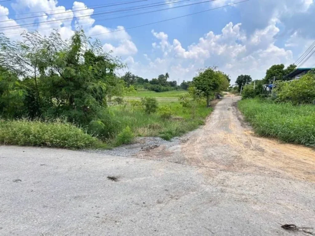 ขายที่ดิน ต่ำกว่าราคาประเมิณ ติดถนนลาดยาง ไทรน้อย นนทบุรี