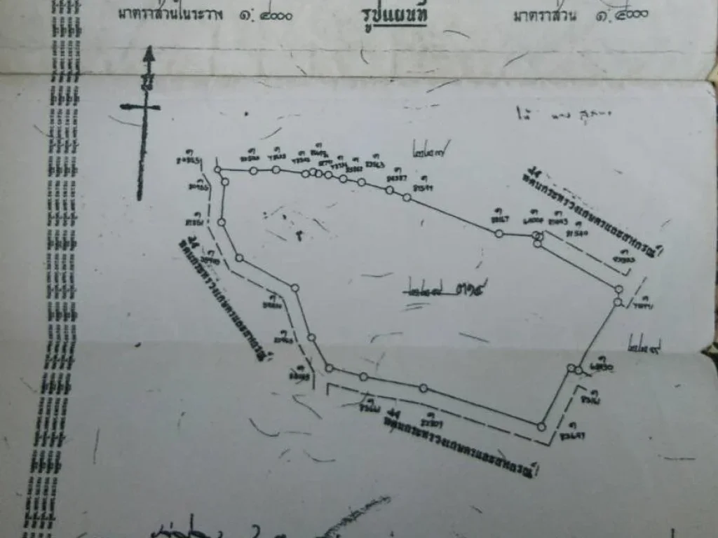 ขายที่ดิน45ไร่ ที่ดินเหมาะทำการเกษตร อยุ่ใกล้วัดชมภูพล หนองปลาหมอ บ้านโป่ง ราชบุรี ขายไร่ละ260000 บาท 063-2425445