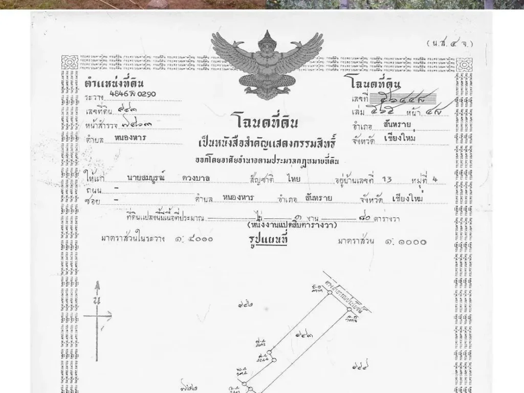 ขายที่ดินมีโฉนดไม่ติดแบงค์ 1 งาน 80 ตารางวา อยู่หลัง มแม่โจ้ เจ้าของขายเองไม่ผ่านนายหน้า