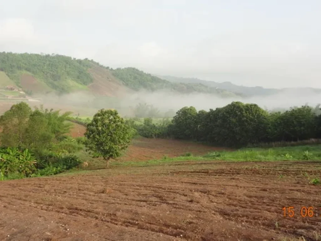 ขายที่ดินเขาค้อ ตทุ่งสมอ บ้านนายาว2ไร่ วิวสวย