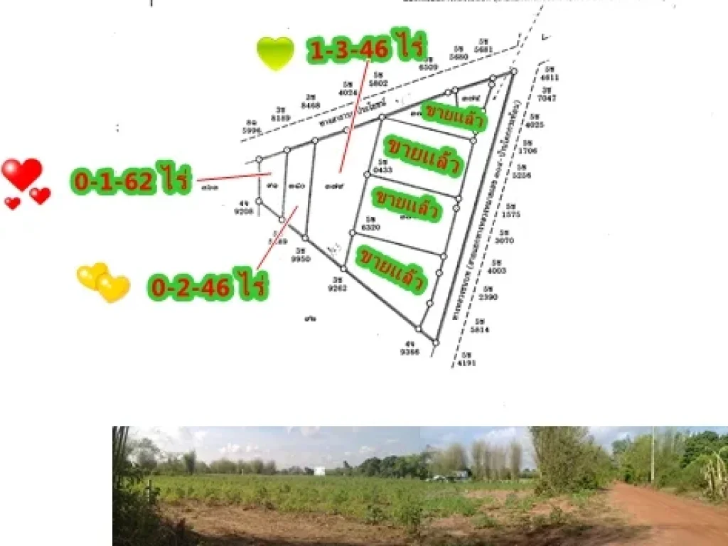 ขายที่โฉนด 3 แปลงเนื้อที่ 2-3-54 ไร่ไฟฟ้าประปาพร้อมยกแปลง 589999 บาท ที่เหมาะปลูกบ้านที่อยู่อาศัยยามเกษียรหนีน้ำท่วม หนีป่าคอนกรีต
