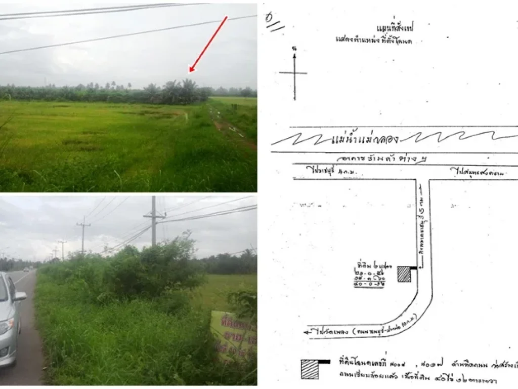ขายที่ดินจังหวัดราชบุรี อเมือง ตบ้านไร่ จำนวน 40 ไร่ 2 งาน 84 ตารางวา