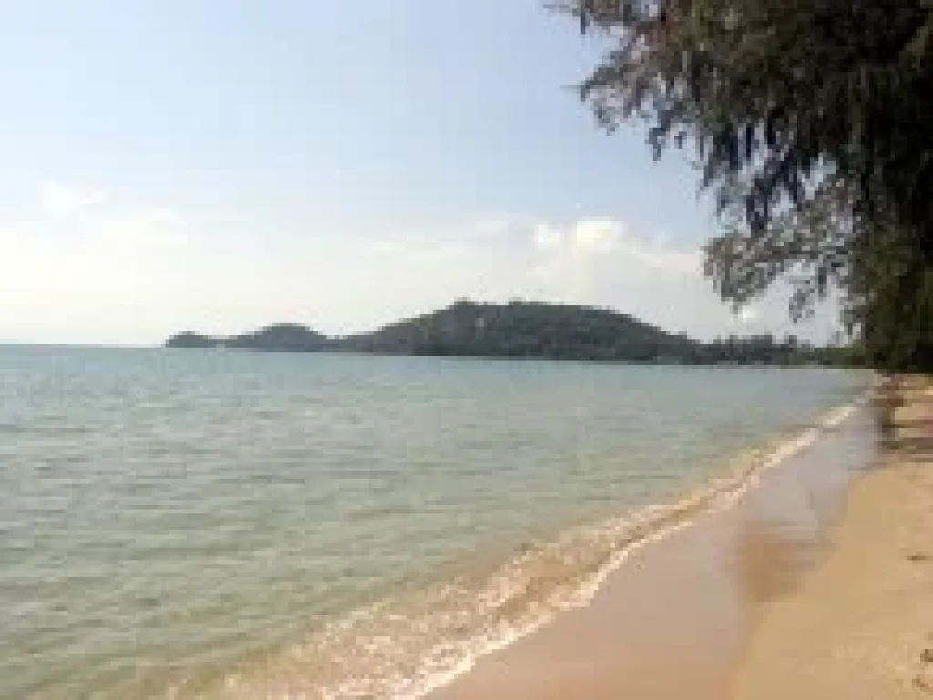 ที่ดินติดทะเลระยอง ชายหาดส่วนตัว โฉนด 3 ไร่