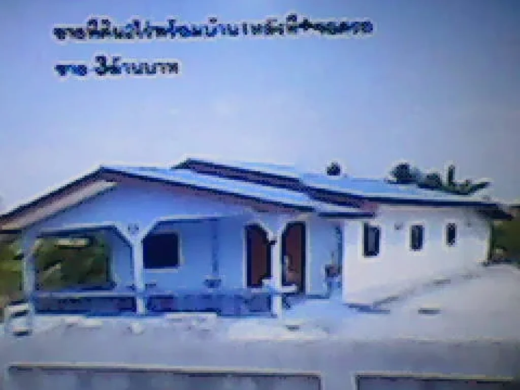 ที่ดิน2ไร่พร้อมบ้าน1หลังโรงจอดรถใกล้ขนส่งใหม่เข้าทางวัดห้วยหมูขาย3ล้าน