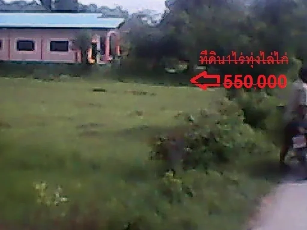 ที่ดิน1ไร่หมู่บ้านทุ่งไล่ไก่ติดถนนขาย 550000