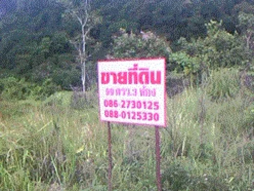 ขายที่ดิน 3 ห้องที่สตูล