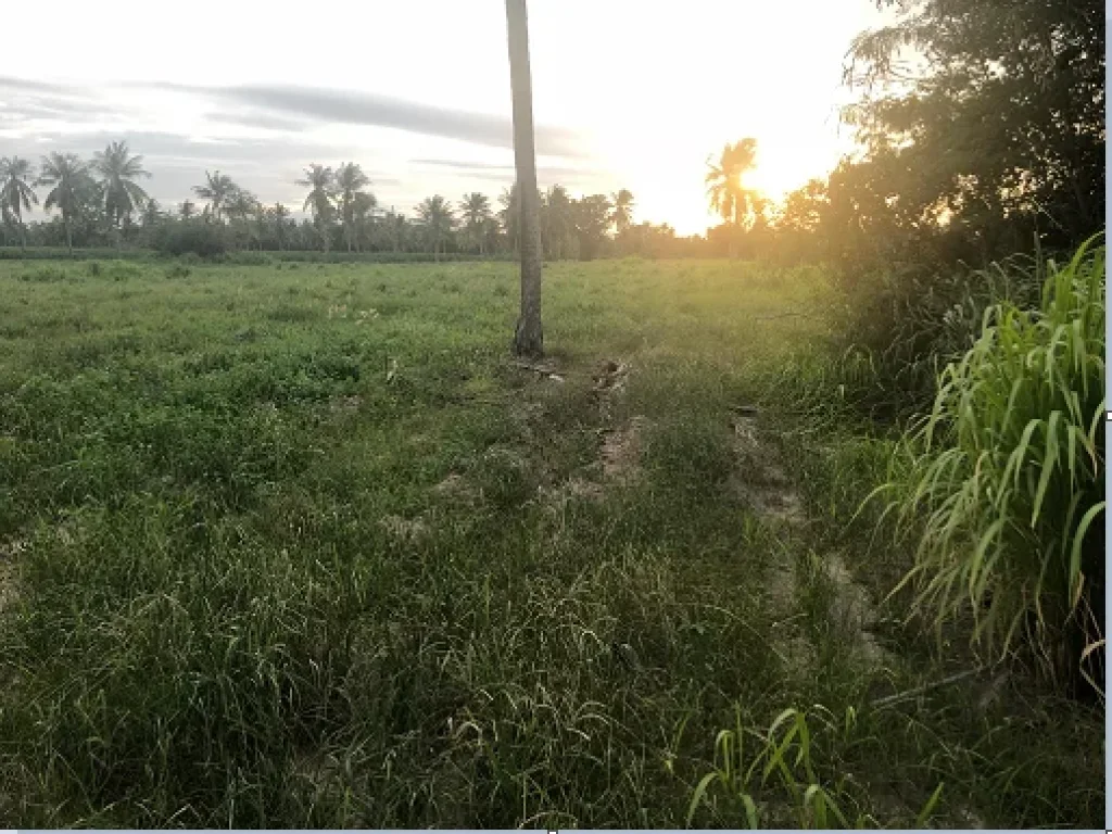 ขายที่ดินห้วยใหญ่ใกล้ถนนมอเตอร์เวย์ตัดใหม่ 9 ไร่