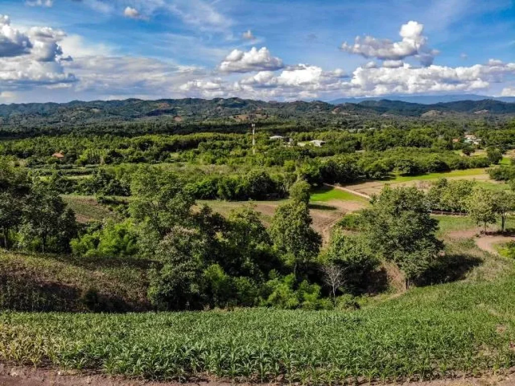 โฉนดวิวภูเขา ใกล้ทางหลวงแผ่นดิน 300 เมตร 9 ไร่ๆ ละ 100000 บาท