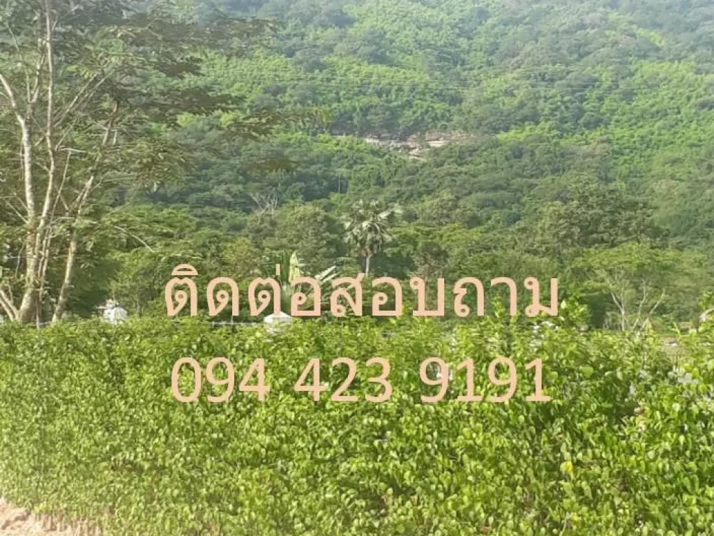 ขายที่ดินสวยๆ วิวภูเขาใกล้ชิดความเป็นธรรมชาติ เนื้อที่ 4 ไร่