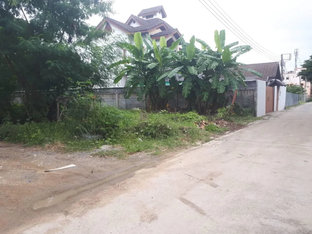 Land for rent or Sale Srinakarin Rd Located behind Makro Food