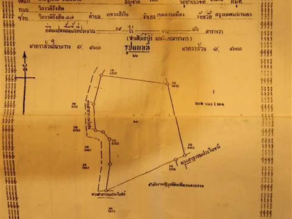 ขายที่ดิน 55 ไร่ 2 งาน 72 ตรวโฉนดที่ดิน