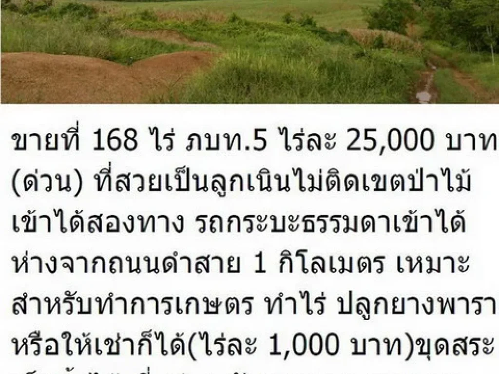 ขายที่ทำการเกษตรลงทุนน้อยครับ