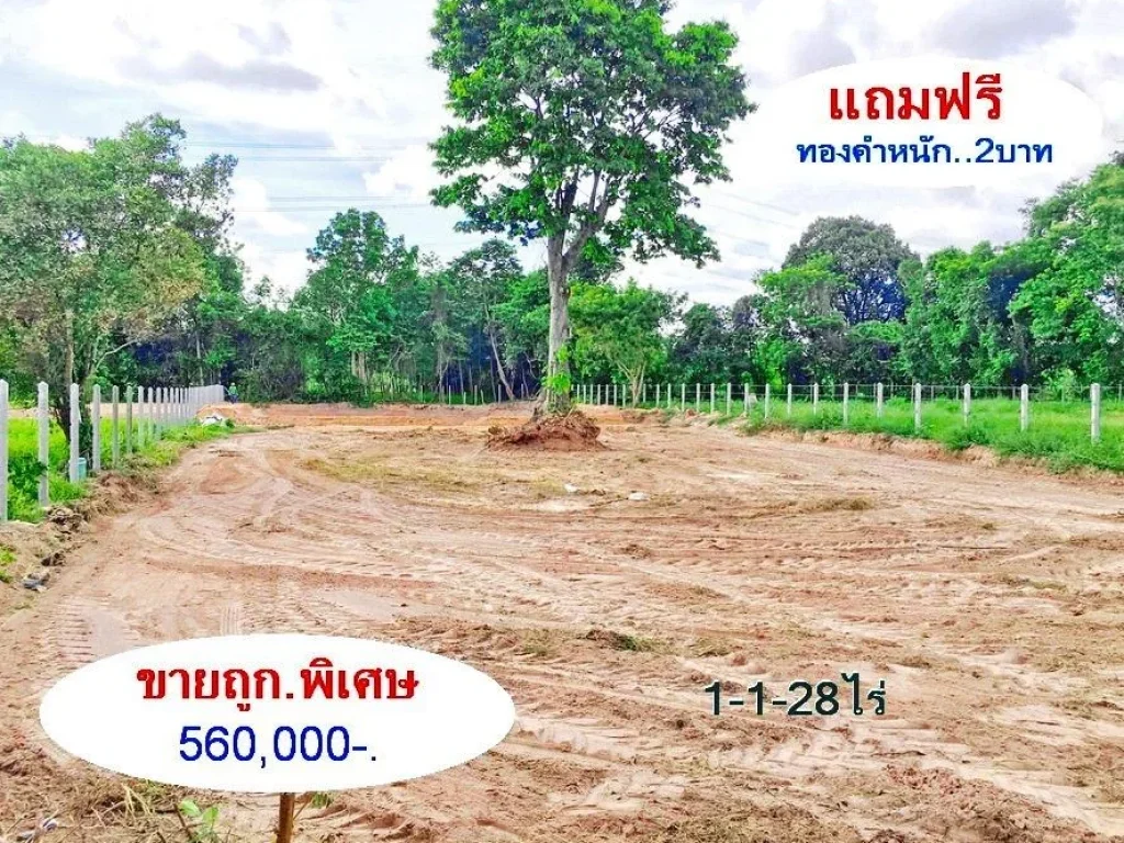 ที่ดิน1-1-28ไร่ 560000- ขายถูกพิเศษ เท่านั้น ยกแปลง