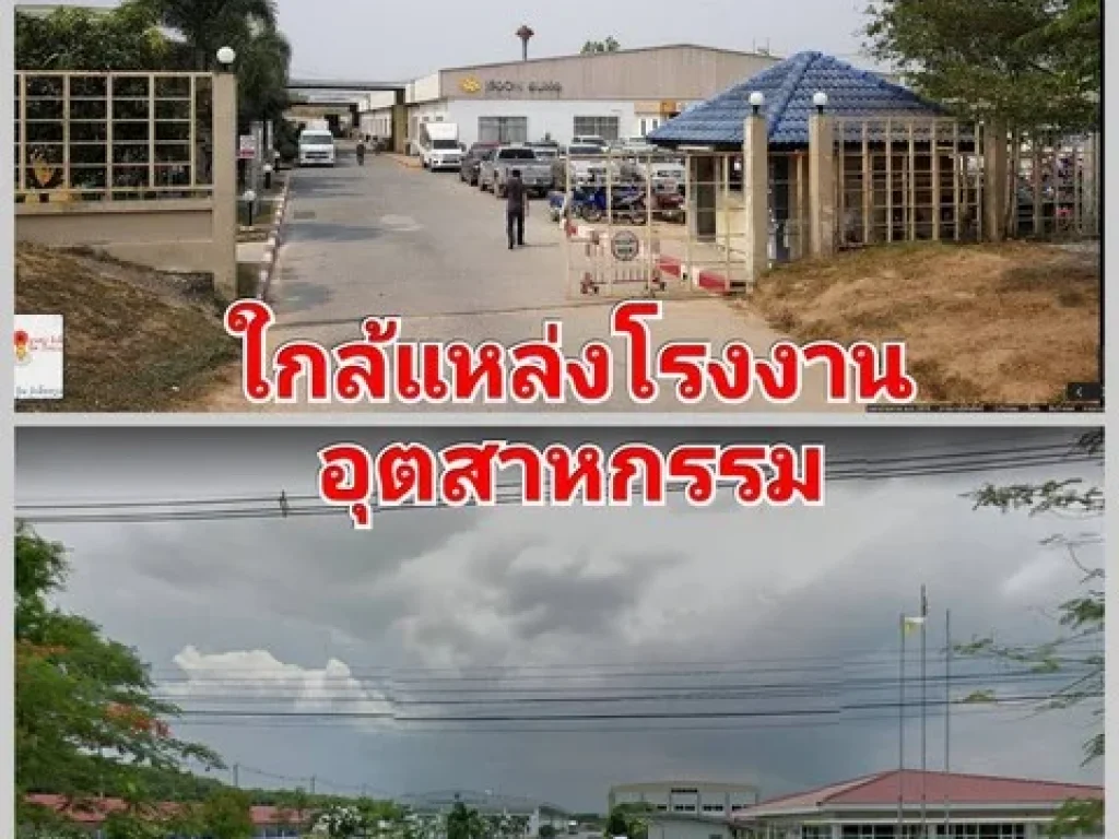 ขายที่ปลวกแดงดินราคาต่ำกว่าทุน สำหรับโรงงานจัดสรรขายหรือซื้อเพื่อเกร็งกำไร