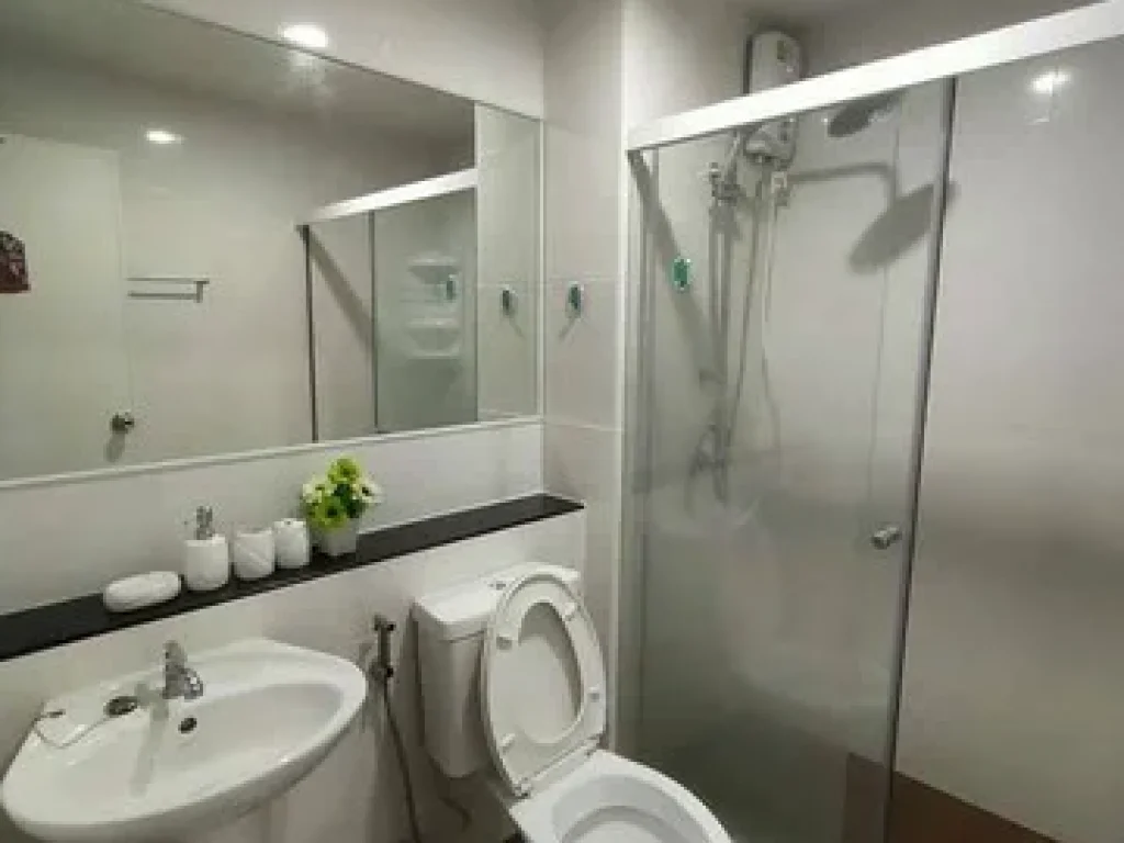 ให้เช่า Regent Home Sukhumvit 81 แต่งพร้อมอยู่ 12000 บาท อาคารC วิวสระว่ายน้ำ