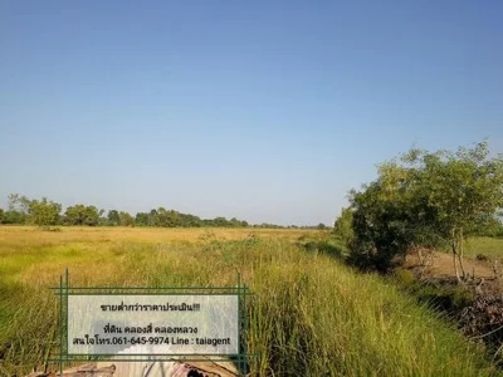 ขายที่ดิน คลอง4 คลองหลวง ขายราคาต่ำประเมิน 10ไร่ คลองสี่ฝั่งตะออก ซอยข้างวัดตะวันเรือง