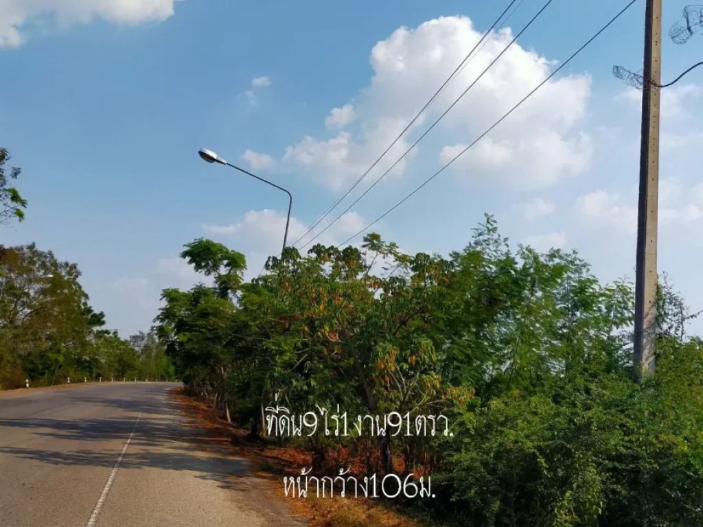 ขายที่ดิน9ไร่1งาน91ตรว หน้ากว้าง106ม ถนน Highway3216-บึงฉวาก ตปากน้ำ อเดิมบางนางบวช จสุพรรณบุรี