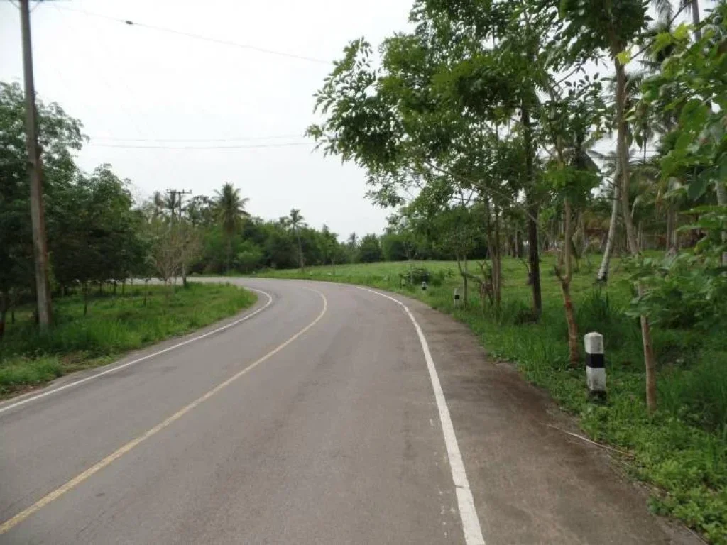 ขายที่ดิน59ไร่ราม 20ล้านบาทเป็นสวนมะพร้าวติดถนนลาดยางไฟฟ้าน้ำสะดวกตอ่างทองอทับสะแกจประจวบคีรีขันธ์