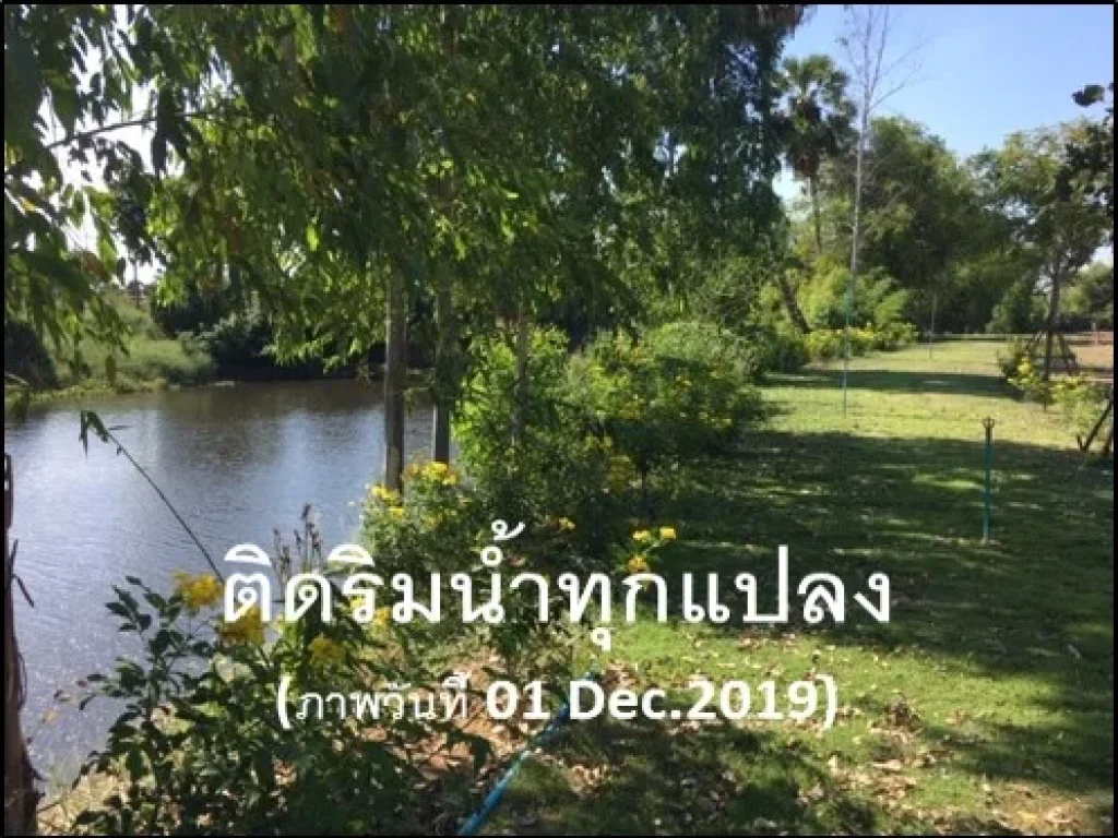 ขายที่ดินติดริมน้ำ1ไร่2งาน แปลงสี่เหลี่ยมสวยโฉนด นส4 จ สาธารณูปโภคพร้อม ราคา 69 แสนไร่