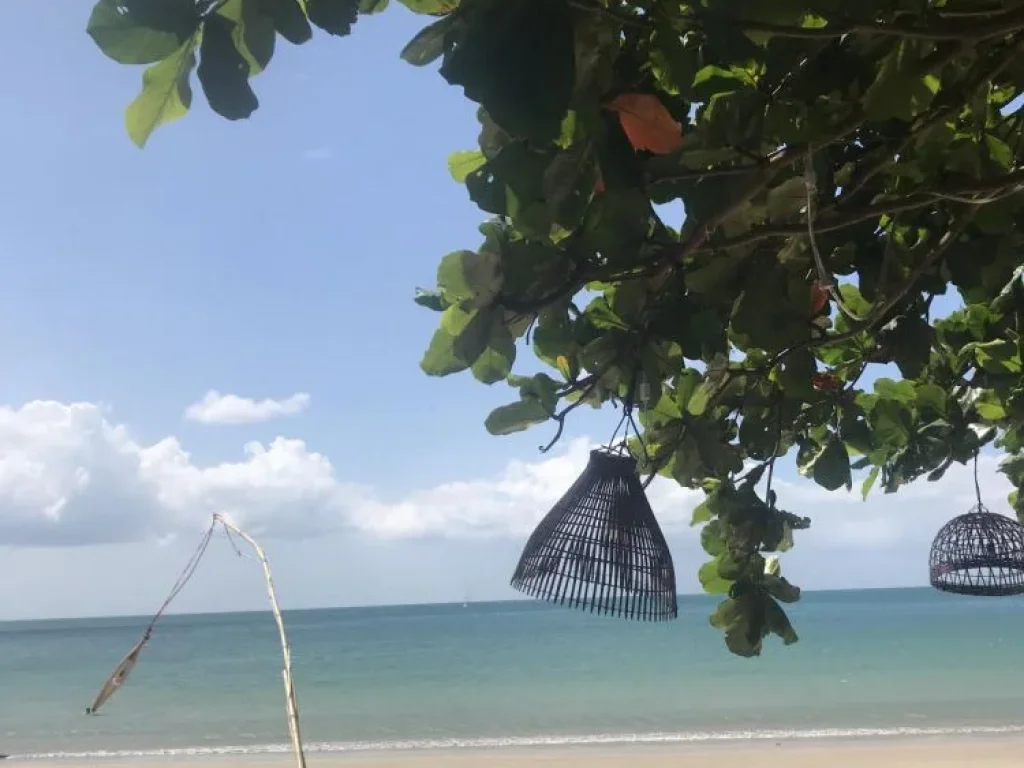 ขายที่ดินริมหาดคลองดาวเกาะลันตาใหญ่พร้อมสิ่งปลูกสร้าง ห้องพักและร้านอาหาร