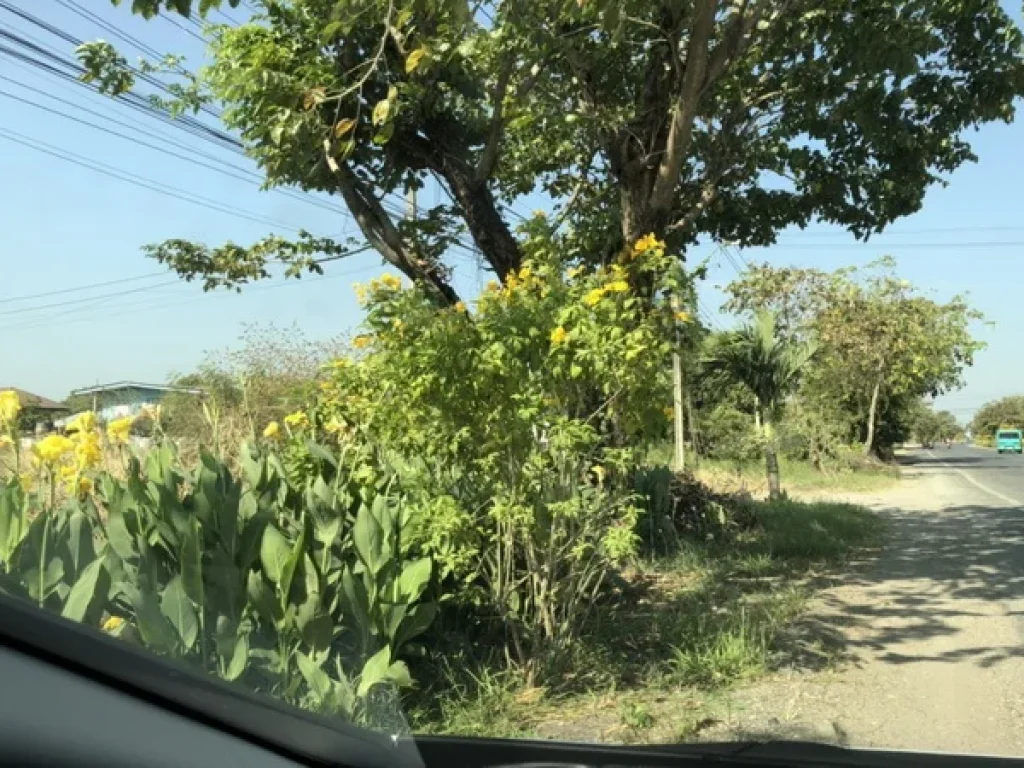 ขาย ที่ดิน ติดถนนสังฆสันติสุข ซอยสังฆสันติสุข ถนนสุวินทวงศ์ เขตหนองจอก กรุงเทพมหานคร