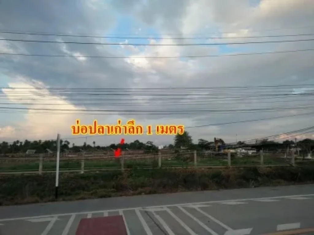 ขายที่ดินเหมาะสร้างหมู่บ้านปทุมธานี 21ไร่ติดถนนและอีก 2 แปลง ใกล้วงเวียนตัดใหม่ราชพฤษ์ ถนนหมายเลข9 21ไร่ๆละ35 ล้าน 9 ไร่ๆละ 4 ล้าน 106ไร่ ๆละ 16ล้าน