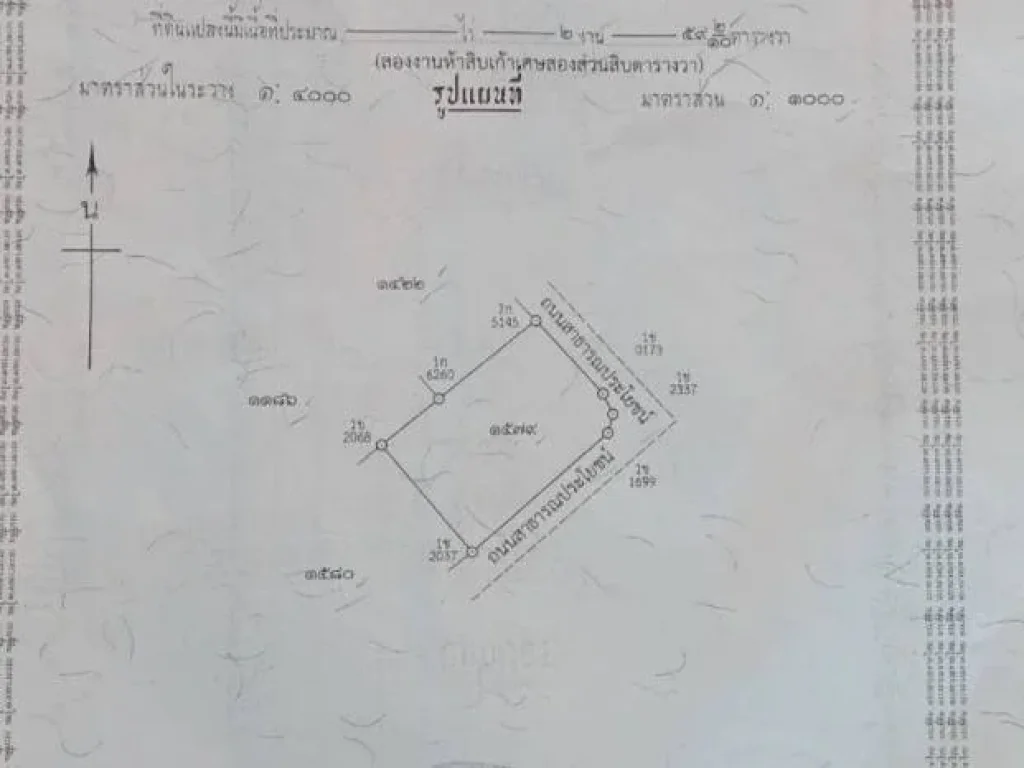 ที่ดินสวนส้มโอติดถนน อำเภออัมพวา จังหวัดสมุทรสงคราม