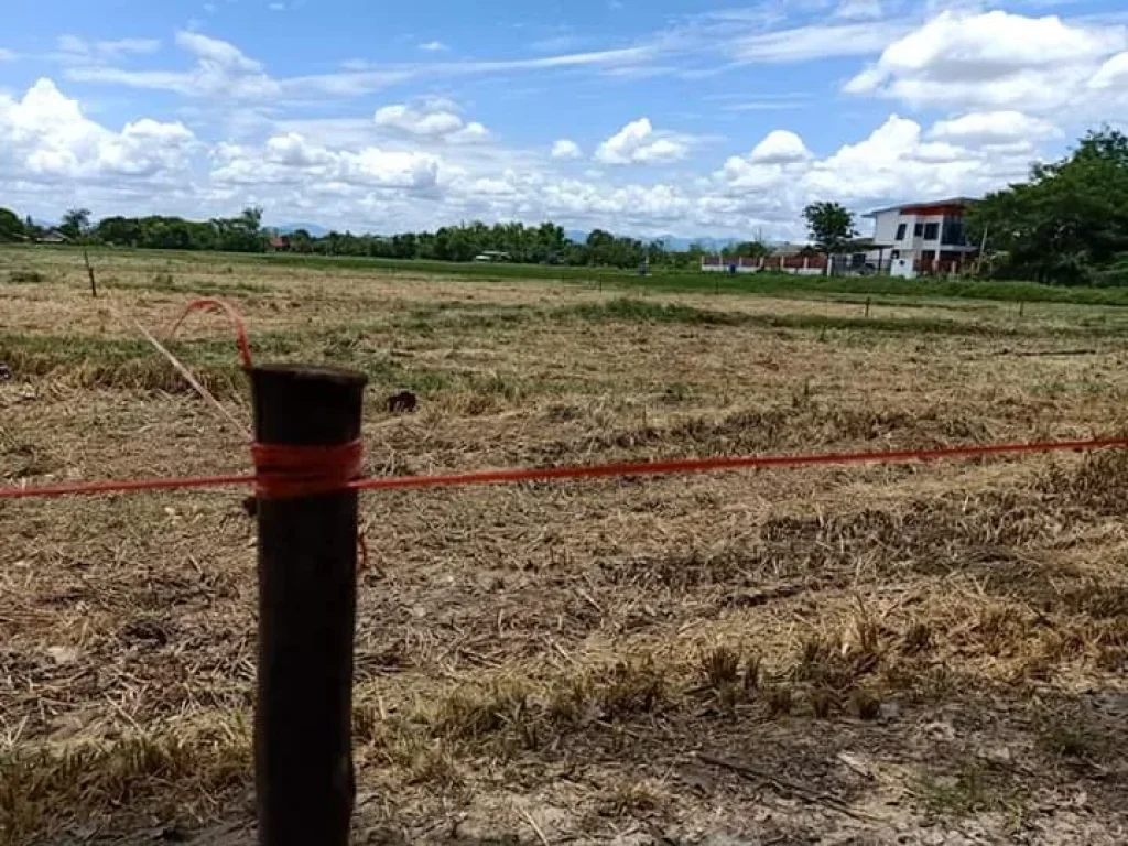 ขายที่ดินติดถนนคอนกรีต สันปูเลย ดอยสะเก็ต เชียงใหม่