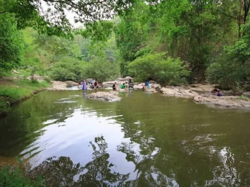 ขายที่ดินเปล่า 332 ตรว ใกล้อุทยานแห่งชาติออบขาน หางดง เชียงใหม่