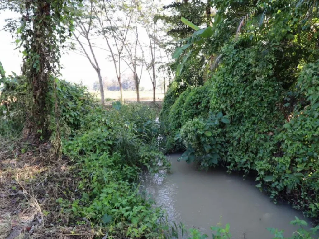 ขายที่ดินสำหรับลงทุน ใกล้วัดร่องขุ่น จังหวัดเชียงราย