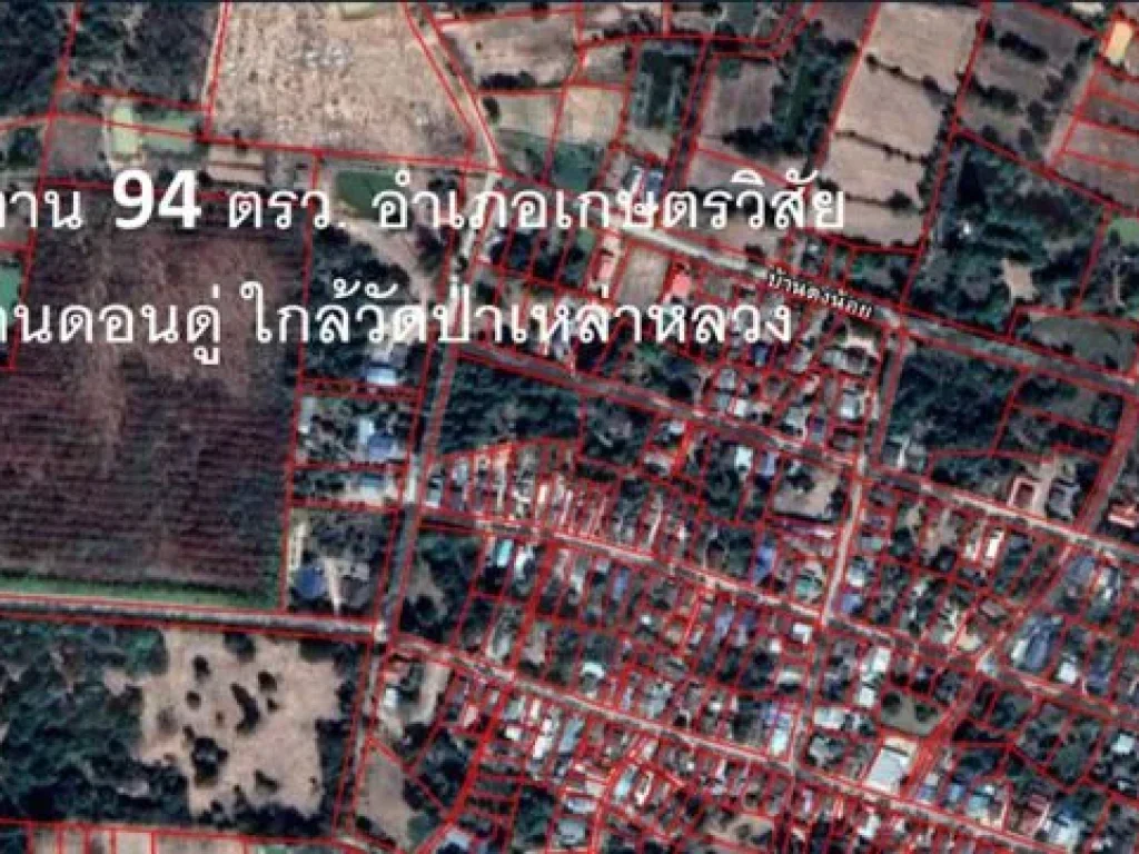 ขายที่สวน 13 ไร่ 2 งาน 94 ตรว อำเภอเกษตรวิสัย บ้านคุยผง แยกไปบ้านดอนดู่ ใกล้วัดป่าเหล่าหลวง