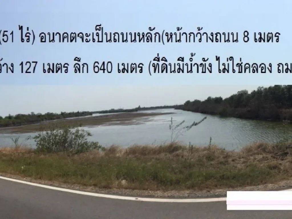 โคตรถูก ที่ดิน สำหรับสร้างโรงงาน ใกล้ถนนพระราม2 ถนนเอกชัยสายเก่า สมุทรสาคร 51 ไร่ ด่วน