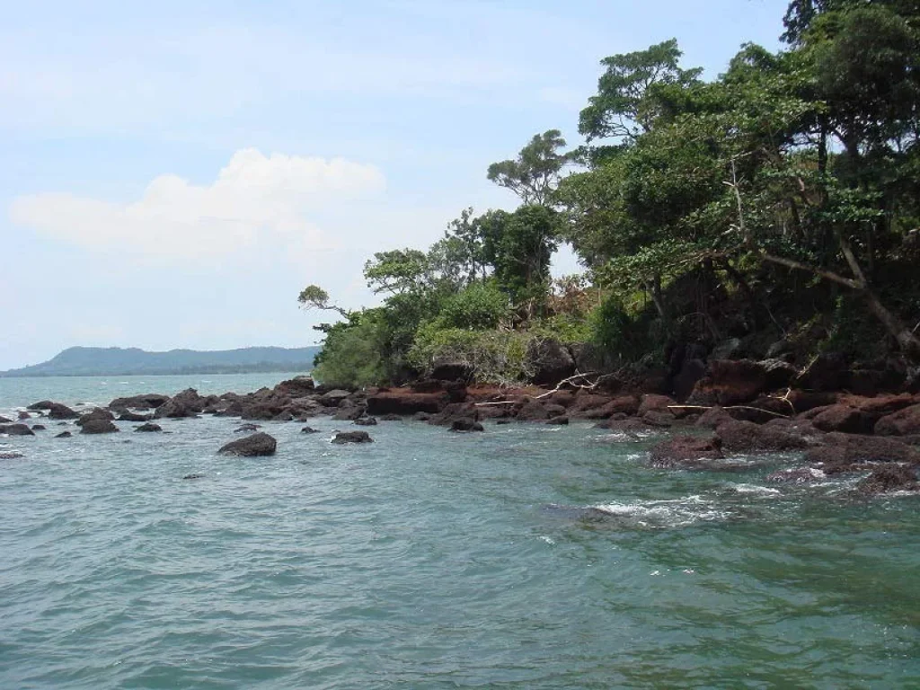 ขายที่ดินแหลมงอบ จังหวัดตราด ที่ติดทะเล มีเอกสารสิทธิ์เป็นโฉนด