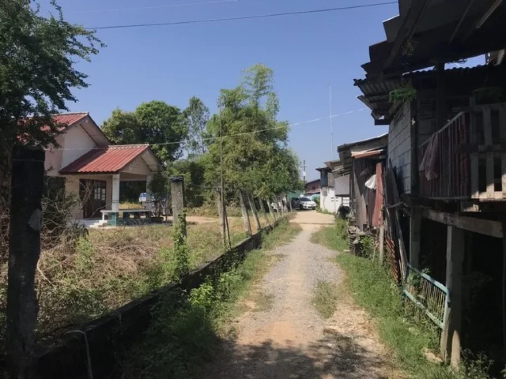 ที่ดินติดแม่น้ำ สุพรรณบุรี แม่น้ำท่าจีน อบางปลาม้า จสุพรรณบุรี