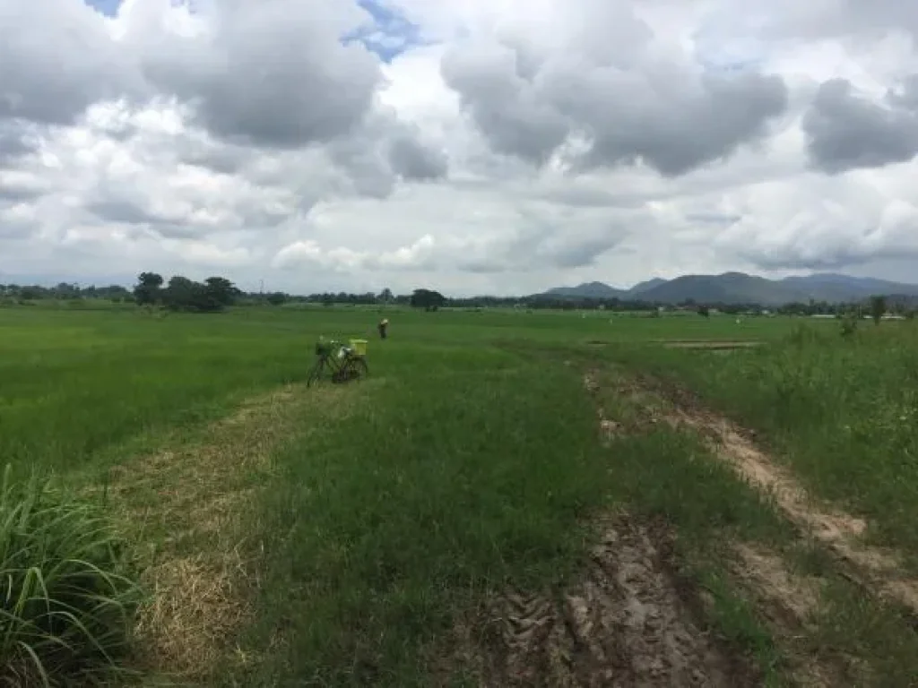 ขายที่ดินผืนใหญ่ อดอยสะเก็ด ใกล้ถนนหลักเชียงใหม่-เชียงราย 456 ไร่ 3 งาน 847 ตรว