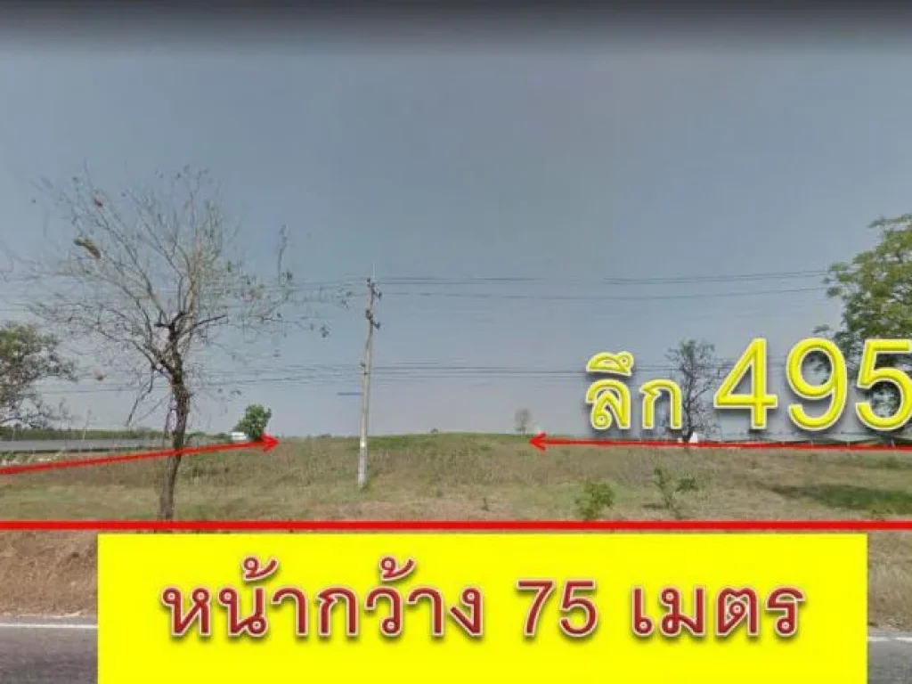 ขายที่ดิน 25 ไร่ ติดถนนใหญ่เส้น 205 บ้านตาล บำเหน็จณรงค์ จชัยภูมิ