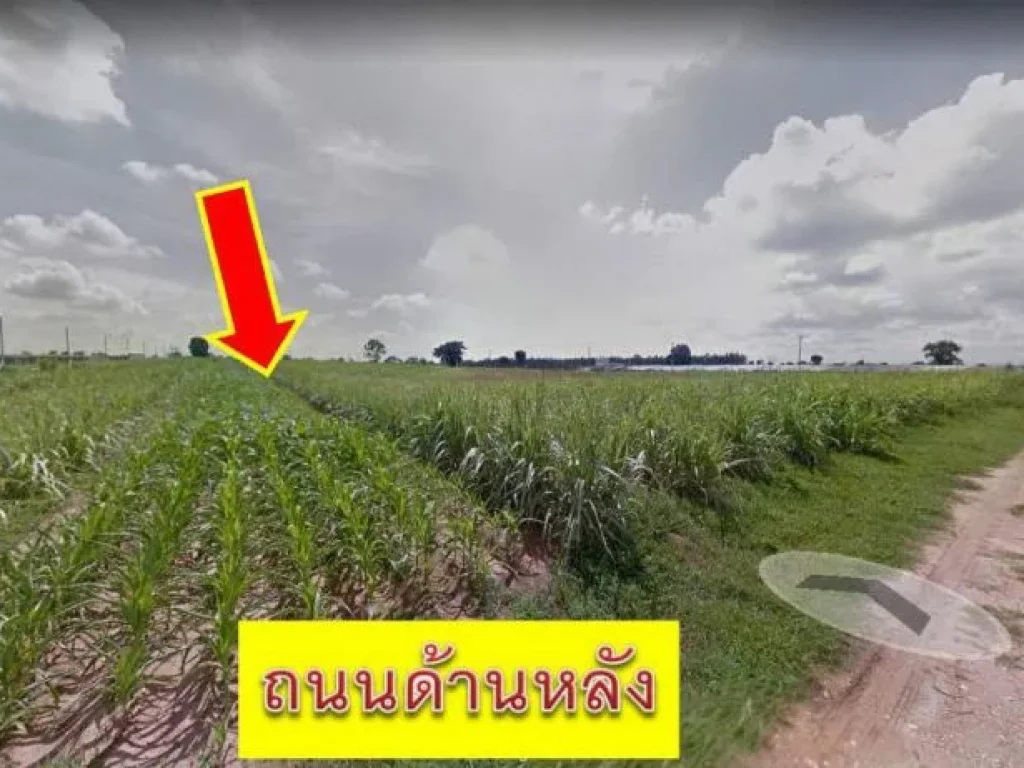 ขายที่ดิน 25 ไร่ ติดถนนใหญ่เส้น 205 บ้านตาล บำเหน็จณรงค์ จชัยภูมิ