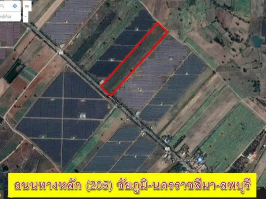 ขายที่ดิน 25 ไร่ ติดถนนใหญ่เส้น 205 บ้านตาล บำเหน็จณรงค์ จชัยภูมิ